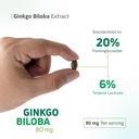 ginkgo-biloba-supplement-80-mg-supports--6.jpg