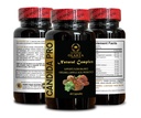 candida-support-supplement-candida-detox-5.jpg