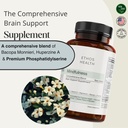 dr-scott-s-advanced-brain-focus-suppleme-5.jpg