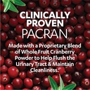 azo-cranberry-urinary-tract-health-suppl-3.jpg