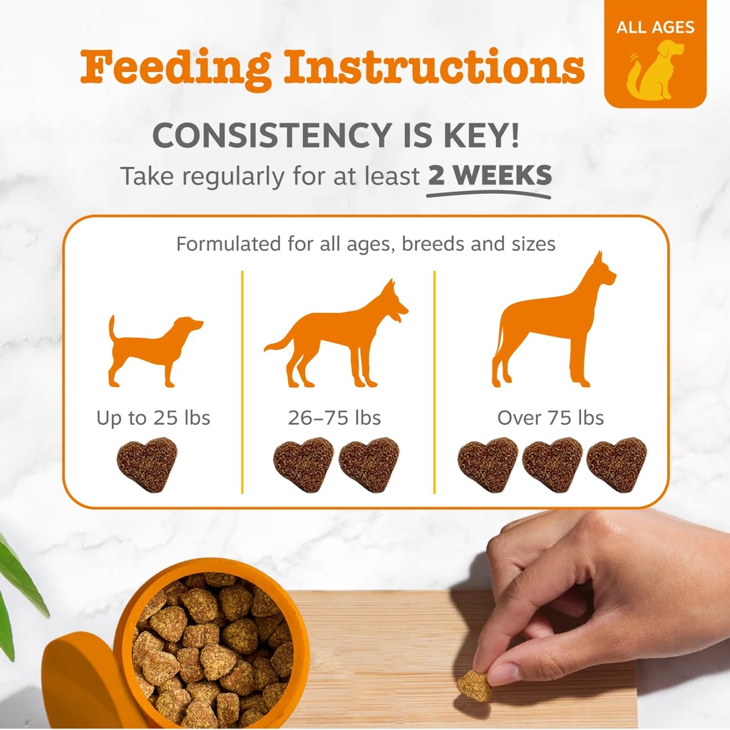 zesty-paws-probiotic-bites-pumpkin-multi-4.jpg