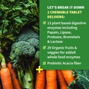 garden-of-life-dr-formulated-digestive-e-4.jpg