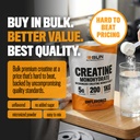 micronized-creatine-monohydrate-powder-1-3.jpg