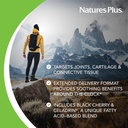 naturesplus-ultra-rx-joint-triple-streng-3.jpg