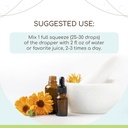 herbera-echinacea-angustifolia-b120-alco-2.jpg