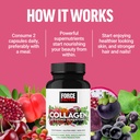 force-factor-collagen-boosting-superfood-5.jpg