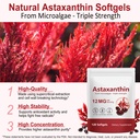 xaarty-2pack-premium-astaxanthin-12mg-na-6.jpg