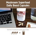 om-mushroom-superfood-brain-fuel-mushroo-6.jpg