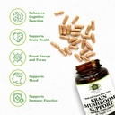 brain-mushroom-support-non-gmo-kosher-ce-3.jpg