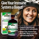 nature-s-answer-alcohol-free-sambucus-bl-4.jpg