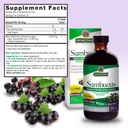 nature-s-answer-alcohol-free-sambucus-bl-3.jpg