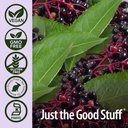 nature-s-answer-alcohol-free-sambucus-bl-5.jpg