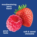 wellyeah-probiotics-for-women-gummies-10-5.jpg