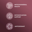 dr-mercola-nac-with-milk-thistle-with-an-4.jpg