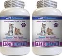 Kedi Bad Breath - CAT Diş Sağlığı - Gelişmiş Ağız Sağlığı Kompleksi - Kediler için Vitamin b12 - 2 Şişe (120 Tablet)