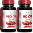 URIC Acid - Uric Acid Support Premium Formula, Powerful Joint Support and Uric Acid with Tart Cherry Extract, Celery Seed, Turmeric - 2 Bottles 120 Capsules