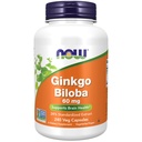 Şimdi Gıdalar Tamamlıyor, Ginkgo Biloba 60 mg,% 24 Standartlaştırılmış Ekstraksiyon, Non-GMO Projesi Doğrulandı, 240 Veg Capsules