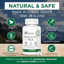 Palmitoyl Ethan Pea Supplement 600 mg - Micronized Pea Supplements 99 - 2 Ay Supply - Ortak Konfor için Gelişmiş Doğal Destek