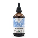 Astragalus USDA Organik Alkol Ücretsiz Ekstraksiyon | Diyetsel Tamam, Yüksek Yeterlilik Tincture | Doğal Onaylanmış Organik Astragalus (Astragalus membranus)