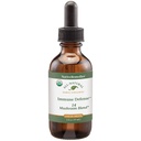 Yerli Remedies Immune Defense 14 Mushroom Mix korumak ve Immune System Function korumak için, 2 Fl oz.