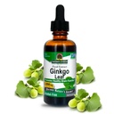 Doğanın Yanıtı Alkol Özgür Ginkgo Leaf 2000 mg 2oz Extract | Stimulates Memory, Mood & Concentration | Gluten-Free, Kosher Sertifikalı & Hiçbir Preservatives | Single Count