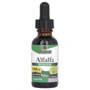 Doğanın Yanıtı Alkol Özgür Alfalfa Herb Extract, 1-Fluid Ounce Supports Immune System, Blood, Digestion, Energy Levels - Helps with Detoxification