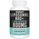 Liposomal NAD+ Trans-Resveratrol 300 mg ile 800 mg, Max Aborpsiyon, Actual NAD+ Sağlıklı Ağlama, Hücre Enerjisi, DNA Onarımı, Longevity - 60 Softgels