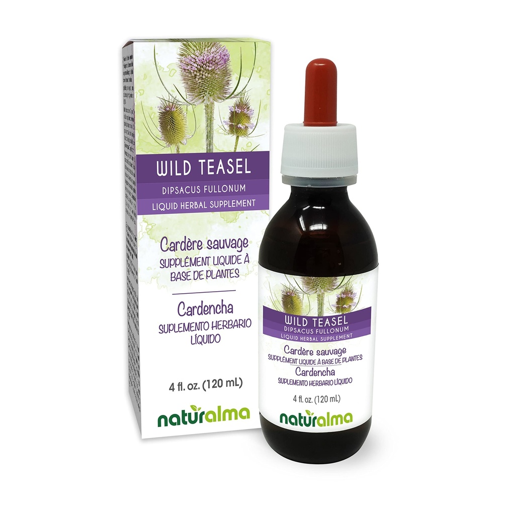Naturalma Wild Teasel veya Fuller'in Çaysel (Dipsacus fullonum veya D. sylvestris) Root Alkol-Free Tincture - 4 fl oz Sıvı Ekstraksiyon - Herbal Supplement - Vegan