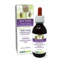 Naturalma Wild Teasel veya Fuller'in Çaysel (Dipsacus fullonum veya D. sylvestris) Root Alkol-Free Tincture - 4 fl oz Sıvı Ekstraksiyon - Herbal Supplement - Vegan