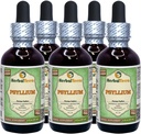 Psyllium (Plantago Ovata) Glycerite, Organic Dried Husk Alcohol-Free Liquid Extract (Brand Name: HerbalTerra, Proudly Made in USA) 5x2 fl.oz (5x60 ml)