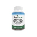 Real Herbs Sting Nettle Root Extract 7500 mg (750 mg of 10:1 Extract) – Vegetarian Friendly, Non-GMO, Gluten-Free – Supports Prostate & Urinary Health – 100 Capsules
