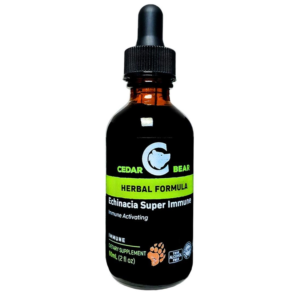 Cedar Bear Echinacea Super Immune Bir Sıvı Herbal Supplement, Beyaz Kan Hücre Aktivitesi ve Diğer Immune Functions 2 FL Oz