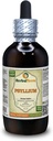 Psyllium (Plantago Ovata) Tincture, Organic Dried Husk Liquid Extract (Brand Name: HerbalTerra, Proudly Made in USA) 4 fl.oz (120 ml)