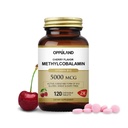 En İyi B-12 5000 Ceble Çekilebilir - Vitamin B12 Mekobalamin Sublingual Tabletleri - Enerji ve Beyin Fonksiyonlu - Vegan Tamam - Cherry Flavor - 120 Count Count Count