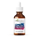 Herbal Goodness Bitter Ama Vücut Temizliği, Enerji Desteği ve Sağlık Boost | Non-GMO Burdock Organik, Bitter Melon, Maca Root, Dandelion Root - 2 fl. oz per Şişe