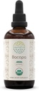 HerbEra Bacopa A120 USDA Organik Tincture | Alkol Türlemesi, Yüksek Lisans Herbal Drops, Relaxation, Pozitif Bilişsel Etkisi | Sertifikalı Organik Bacopa (Bacopa Monnieri)