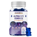 Alpha GPC Choline Gummies 600 mg with Phosphatidylserine & Bacopa – 3in-1 Beyin Memory, Focus & Long-Term Cognitive Health – Sugar-Free, Natural Formula, 60 Count