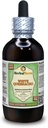 White Quebracho (Aspidosperma Quebracho-Blanco) Glycerite, Dried Bark Powder Alcohol-Free Liquid Extract (Brand Name: HerbalTerra, Proudly Made in USA) 4 fl.oz (120 ml)