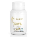 Biogena Pycnogenol 100 mg Gold with Premium Patented French Maritime Pine Bark Ekstraksiyon (Pinus Pinaster) Blood Circulation