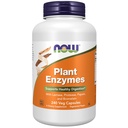 Şimdi Gıdalar Tamamlar, Plant Enzymes with Lactase, Protease, Papain ve Bromelain, 240 Veg Capsules