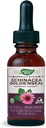 Nature's Way Premium Formula Echinacea-Goldenseal, hizmet başına 250 mg,% 99.9 Alkol-Free, 1.01 Oz.