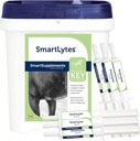 SmartEquine SmartLytes Horse Electrolyte Toz Supplement & SmartLytes Paste Horse Electrolyte Paste 6 Tubes Sche, Encourages Hydration, Replenishes Electrolytes, Nodrew Sugar