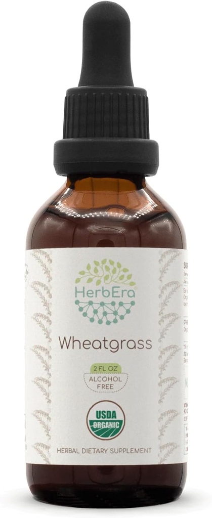 HerbEra Buğdaygras B60 USDA Organik Tincture | Alkol Özgür Tür, Yüksek Lisans Herbal Drops, Liquid Supplement | Sertifikalı Organik Buğdaylar (Triticum aestivum) Broşür (2 oz)