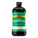 Bernard Jensen'in% 100 Pure Natural Chlorophyll Flavor Liquid Supplement | Addsacene Ph | Temiz Kana Yardım | 16 Akışkan Ounce (474 ml)