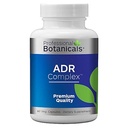 Profesyonel Botanikler Adrenal Kompleksi Supplement – Sağlıklı Adrenal Fonksiyonlar, Stres Yardımı ve Enerji Seviyeleri – 90 Vejetaryen Capsules