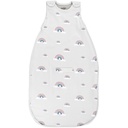 Woolino Merino Wool Ultimate Baby Sleep Sack - 4 Season Baby Wearable Blanket - İki Yollu Duş Bebekler ve Toddler için Ayarlanabilir Bag - Evrensel Boyut (2-24 Ay) - Rainbow
