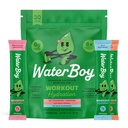 Waterboy Workout Hydration | 2,960mg Sugar Free Electrolyte Toz Paketleri | L-Glutamine + Vitaminler | No Sugar, All Natural, Gluten Free (Variety)