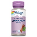SOLARAY Cinnamon Extract 300 mg - Cinnamon Supplements for Balance - Herbal Support with 24 mg Flavonoids - Lab TY, Gluten Free, 60-Day Garanti - 60 Hizmet, 60 VegCaps