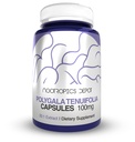 Nootropics Depot Polygala onuifolia Capsules | 100 mg | 90 Kont | 20:1 Ekstraksiyon | Yuan Zhi | Bilişsel Fonksiyonlar, Öğrenme ve Hafıza | Sağlıklı Stres Seviyelerini Destekler | Adaptogen Supplement