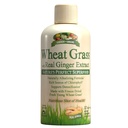 Bahçe Yeşiller Buğday Zemin Sıvı Gerçek Ginger Extract, Nature's Perfect Superfood, 32 hizmetkar